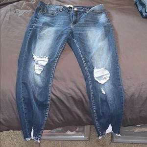 REFUGE never worn jeans